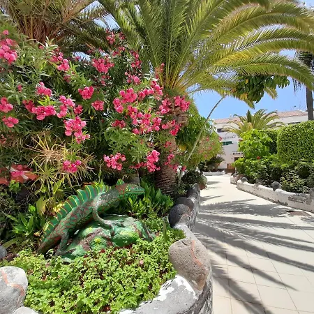 Tenerife Parque Don Jose 219 شقة